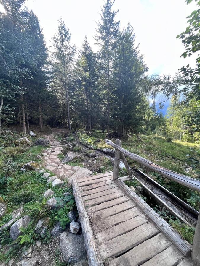 Rifugetto Apartment Marilleva Exterior photo